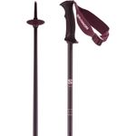 Salomon-Angel-S3-Alpine-Ski-Poles---Women-s---Fig.jpg