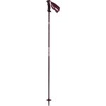 Salomon-Angel-S3-Alpine-Ski-Poles---Women-s---Fig.jpg