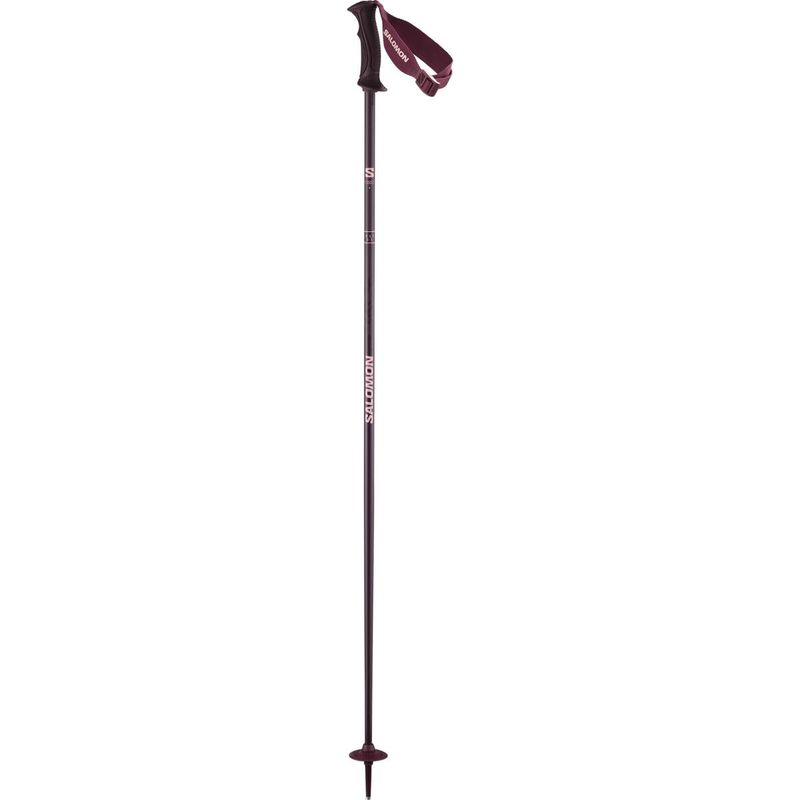 Salomon-Angel-S3-Alpine-Ski-Poles---Women-s---Fig.jpg