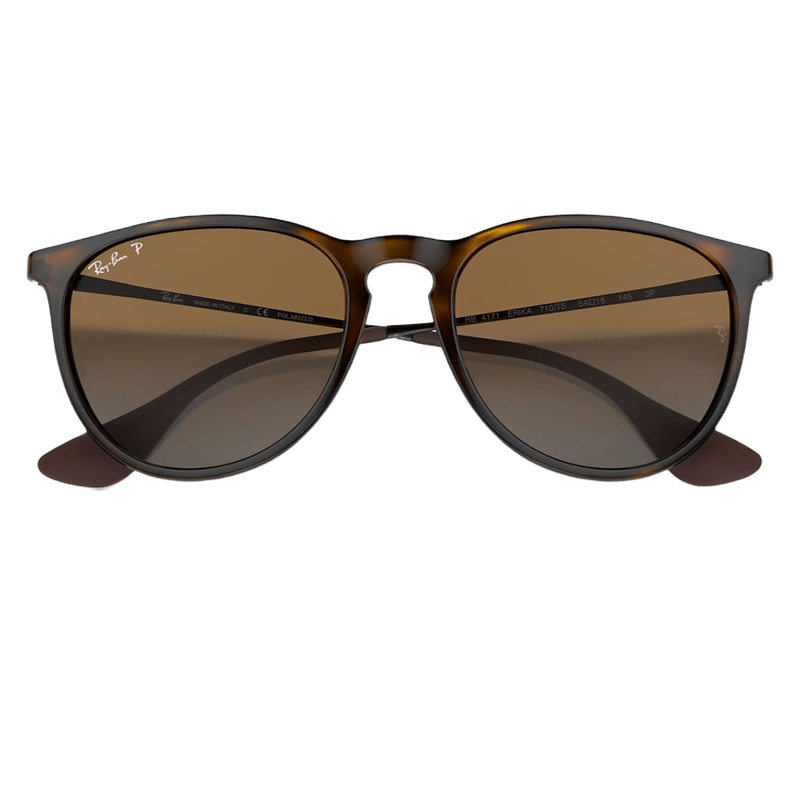 Ray ban 2024 erika classic havana