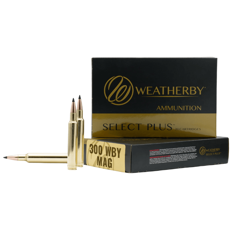 Weatherby-Select-Plus-Rifle-Ammo---200GR-ELDX.jpg