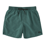 Billabong-All-Day-Layback-17--Boardshort---Men-s---Cypress.jpg