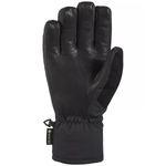 Dakine-Leather-Titan-Gore-tex-Short-Glove---Men-s---Black.jpg