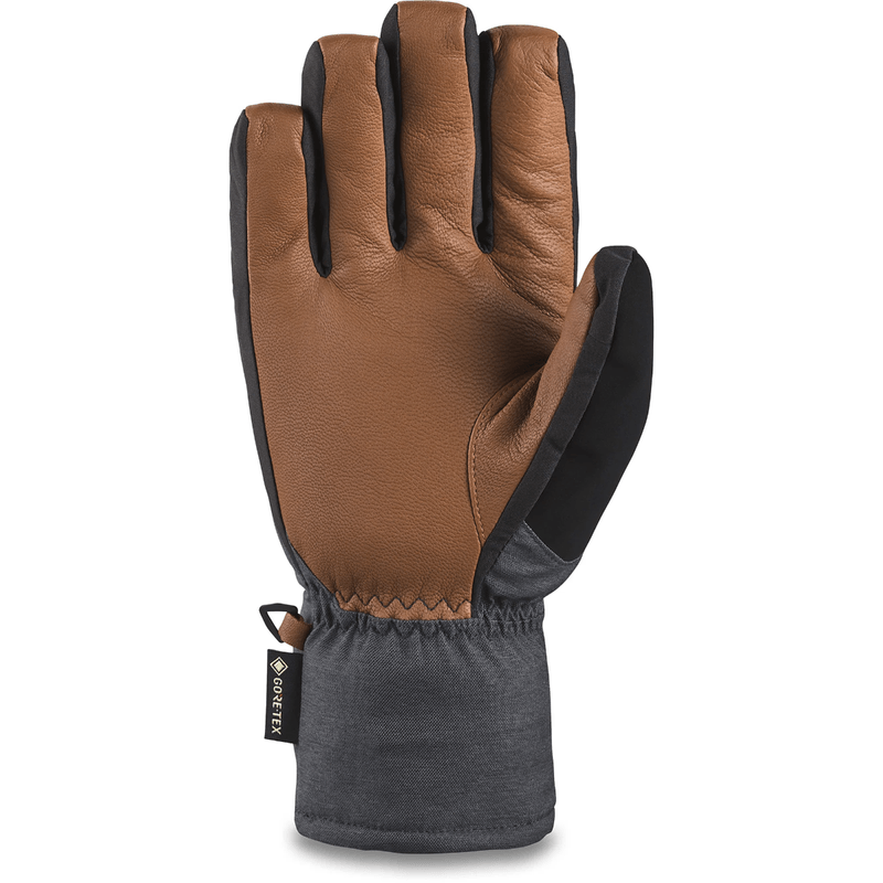 Dakine-Leather-Titan-Gore-tex-Short-Glove---Men-s---Carbon.jpg
