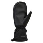 Gordini-Fall-Line-Mitten---Men-s---Black.jpg