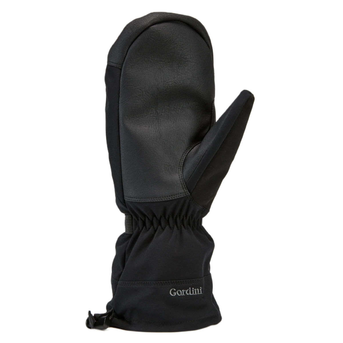 Gordini Fall Line Mitten - Men's - Bobwards.com