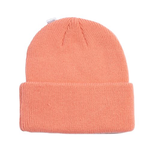 Coal Headwear The Wayne Beanie