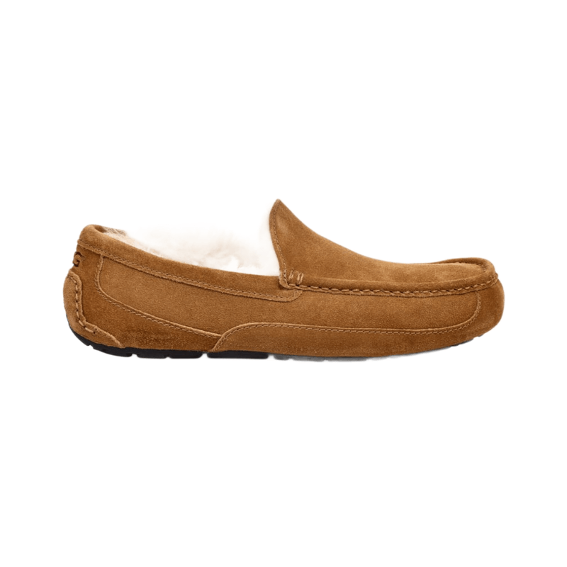 Mens ugg ascot slippers deals on sale