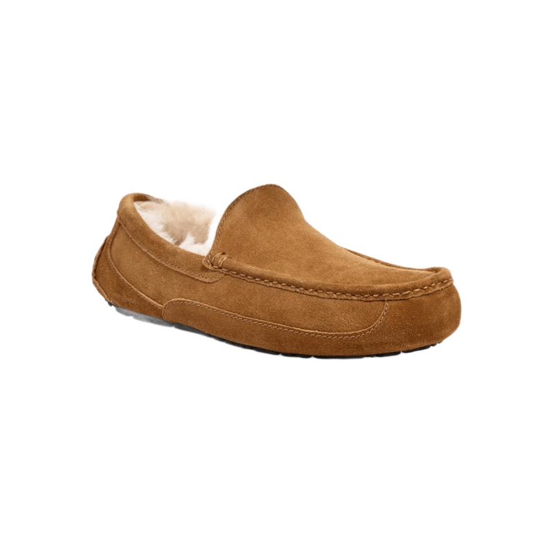 Ascot ugg slippers discount mens