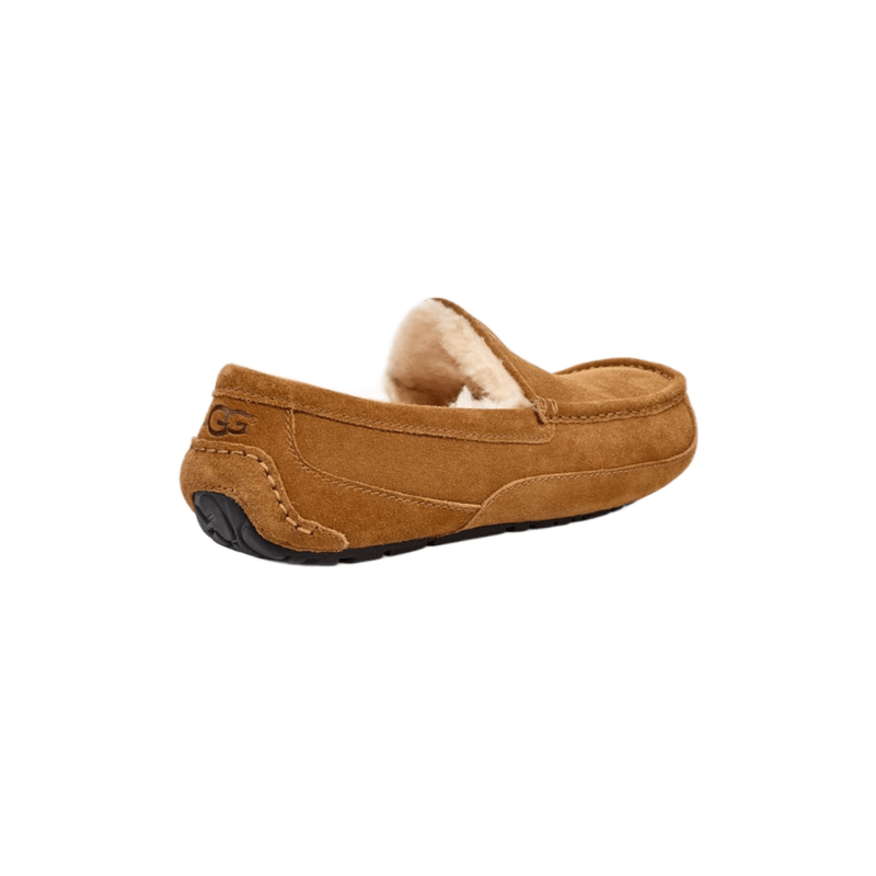 Mens ugg slippers on sale sale