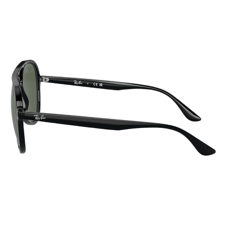 Ray-Ban-RB4376-Sunglasses-Black---Dark-Green-Non-Polarized.jpg