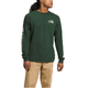The North Face Long-Sleeve Hit Graphic T-Shirt - Men's - Pine Needle / Misty Sage.jpg
