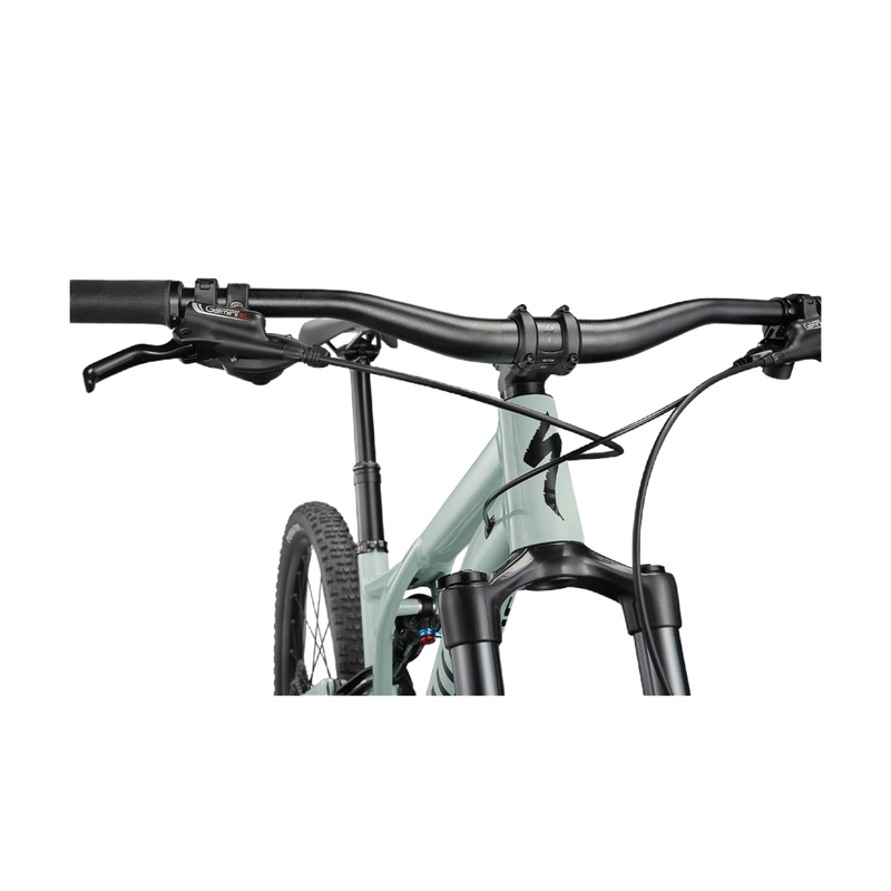 Specialized-Stumpjumper-Alloy-Mountain-Bike---2024---Gloss-Ca-White-Sage---Black.jpg