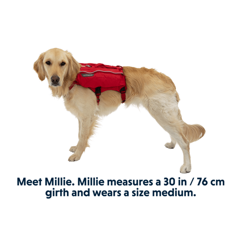Ruffwear-Singletrak™-Dog-Hydration-Pack-Red-Currant-M.jpg