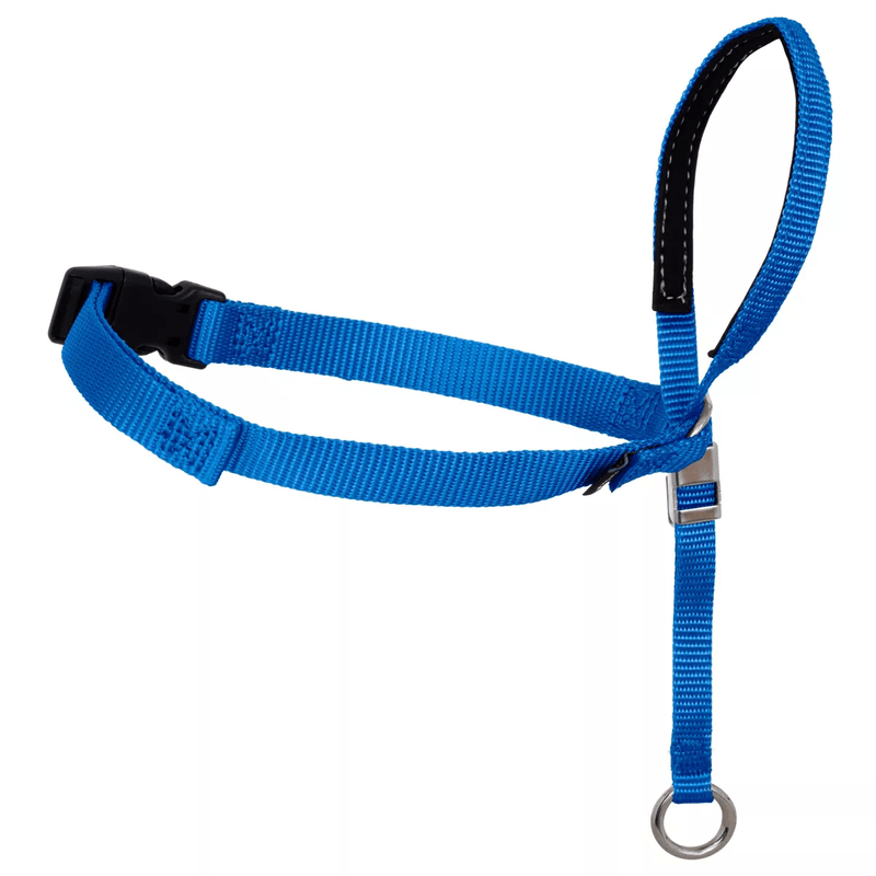 Premier Pet Gentle Leader Dog Collar - Bobwards.com