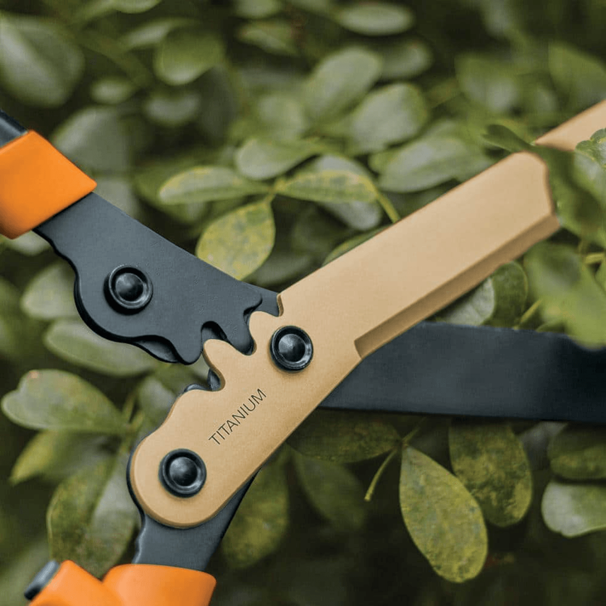 ONE STOP GARDENS 22 In. Hedge Shears with Wavy Blade