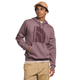 The-North-Face-Jumbo-Half-Dome-Hoodie---Men-s-Fawn-Grey-/-Tonal-S.jpg