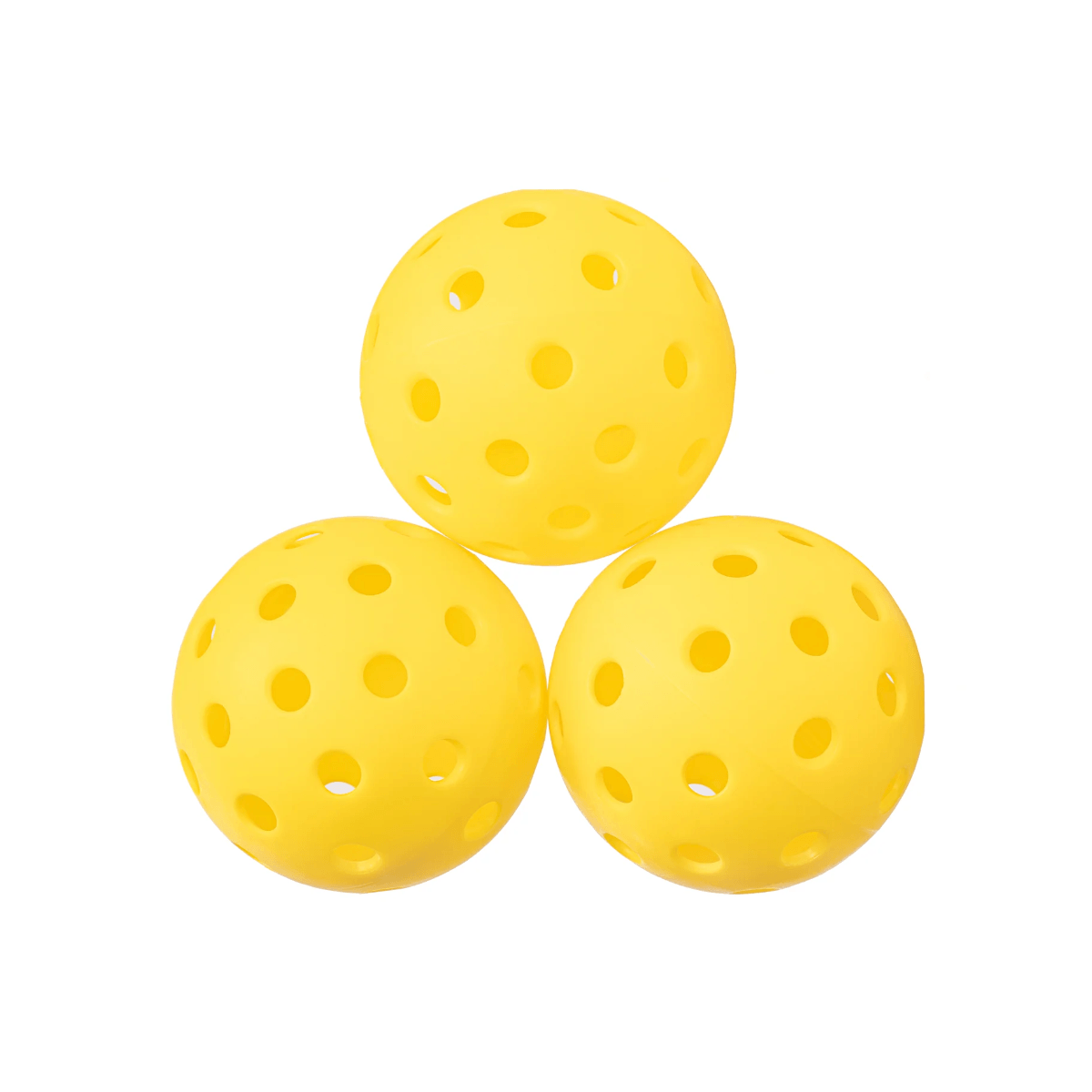 Selkirk Holderness Family Slk Pickleball Bundle