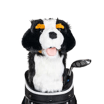 NWEB---DAPHNE-HEADCOVER-BERNESE-MOUNTAIN-DOG-Bernese-Mountain-Dog-Driver.jpg