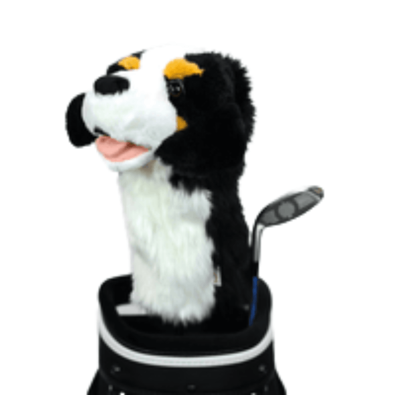 NWEB---DAPHNE-HEADCOVER-BERNESE-MOUNTAIN-DOG-Bernese-Mountain-Dog-Driver.jpg