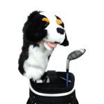 NWEB---DAPHNE-HEADCOVER-BERNESE-MOUNTAIN-DOG-Bernese-Mountain-Dog-Driver.jpg