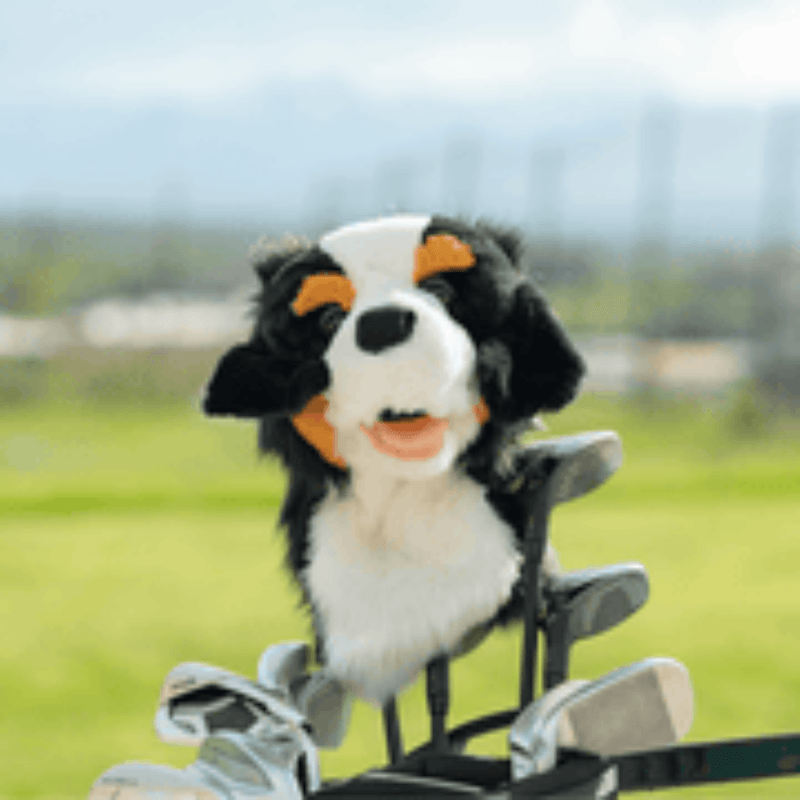 NWEB---DAPHNE-HEADCOVER-BERNESE-MOUNTAIN-DOG-Bernese-Mountain-Dog-Driver.jpg