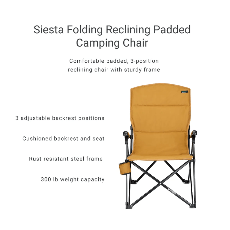 Woods siesta reclining deals chair