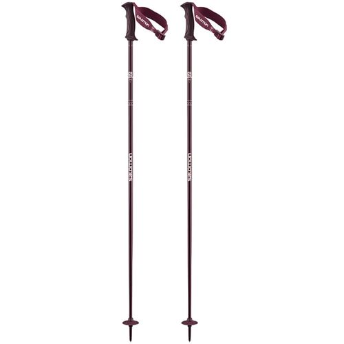 Salomon Angel S3 Ski Poles - Women's