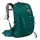 Osprey-Tempest-9-Daypack---Women-s-Jasper-Green-M/L.jpg