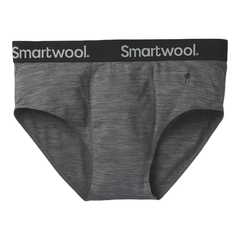 Smartwool Merino Sport 150 Brief Boxed - Men's