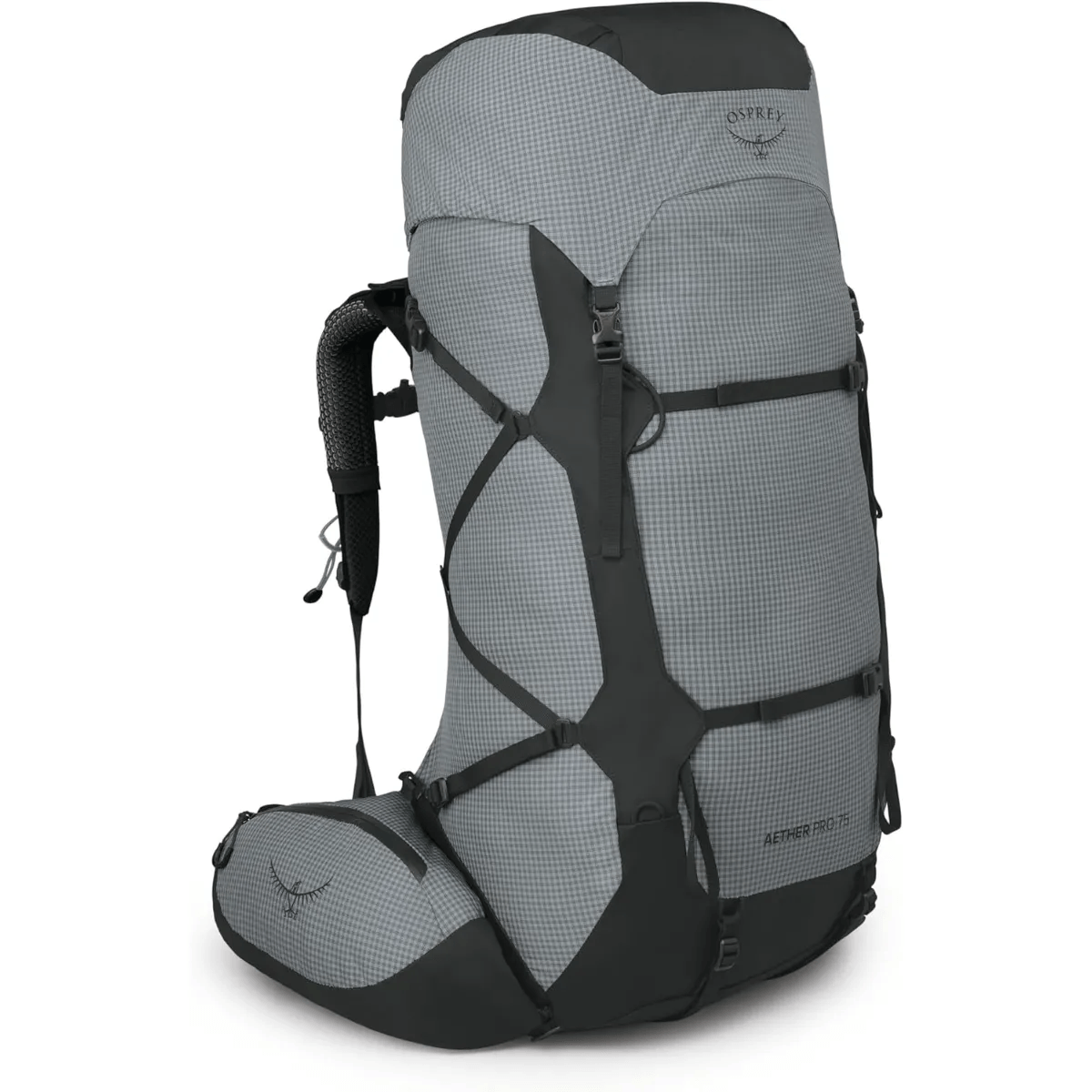 NWEB---OSPREY-PACK-AETHER-PRO-75-Silver-Lining-L/XL.jpg