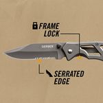 Gerber-Paraframe-1-Serrated-Knife---Titanium.jpg