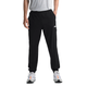 NWEB---NORTHF-MEN-S-WANDER-JOGGER-2.0-TNF-Black-S-Regular.jpg