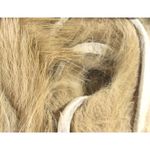 NWEB---HARELI-MICRO-RABBIT-STRIPS-Tan.jpg