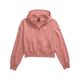 The-North-Face-Evolution-Full-zip-Hoodie---Women-s-Light-Mahogany-XS.jpg