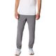 NWEB---COLUMS-M-TERMINAL-ROAMER-STRETCH-PANT-City-Grey-S-Regular.jpg