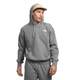 NWEB---NORTHF-MEN-S-EVOLUTION-VINTAGE-HOODIE-TNF-Medium-Grey-Heather-XS.jpg