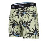 NWEB---STANCE-PALMDICE-BOXER-BRIEF-GREEN-S.jpg