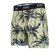 NWEB---STANCE-PALMDICE-BOXER-BRIEF-GREEN-S.jpg