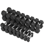 NWEB---SYNERG-RUBBER-HEX-DUMBBELLS-Chrome---Black-10-lb.jpg