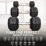 NWEB---SYNERG-RUBBER-HEX-DUMBBELLS-Chrome---Black-10-lb.jpg