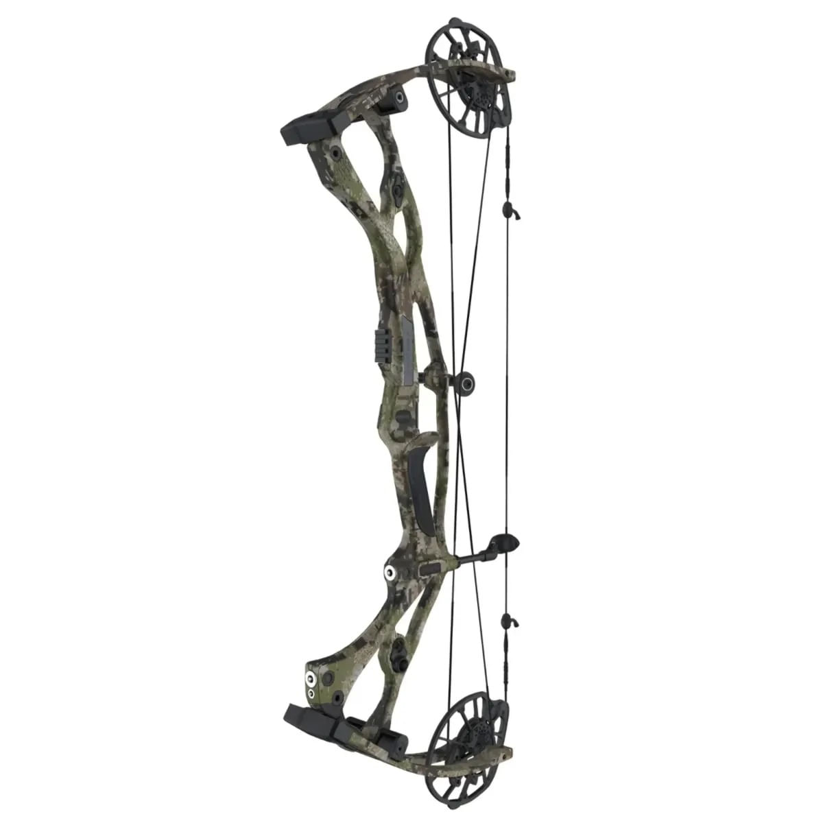 Hoyt RX-8 EA Bow - Bobwards.com