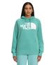 The-North-Face-Half-Dome-Pullover-Hoodie---Women-s-Wasabi-/-TNF-White-XS.jpg
