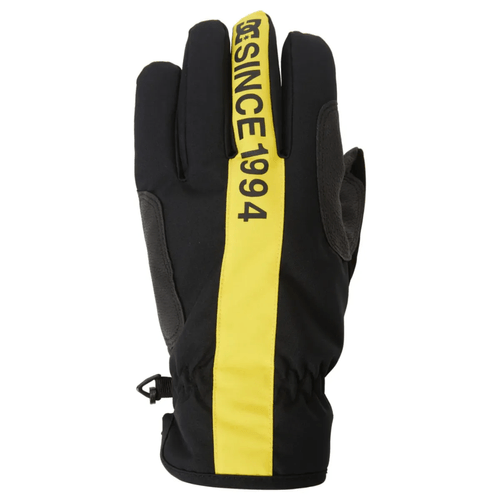 Dc Shoe Salute - Technical Snowboard Glove - Men's