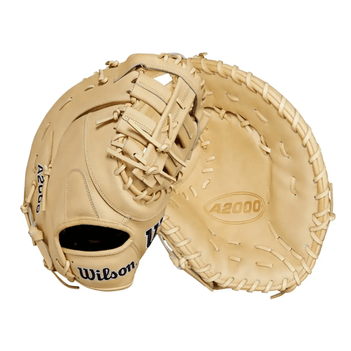 Wilson A2000 1679 Glove Day Series Baseball Mitt