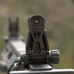 Magpul-Mbus-Pro®-Sight-–-Rear-Black.jpg