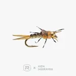 NWEB---RIO-RIO-S-MORRISH-IRON-SALLY-TB--14.jpg