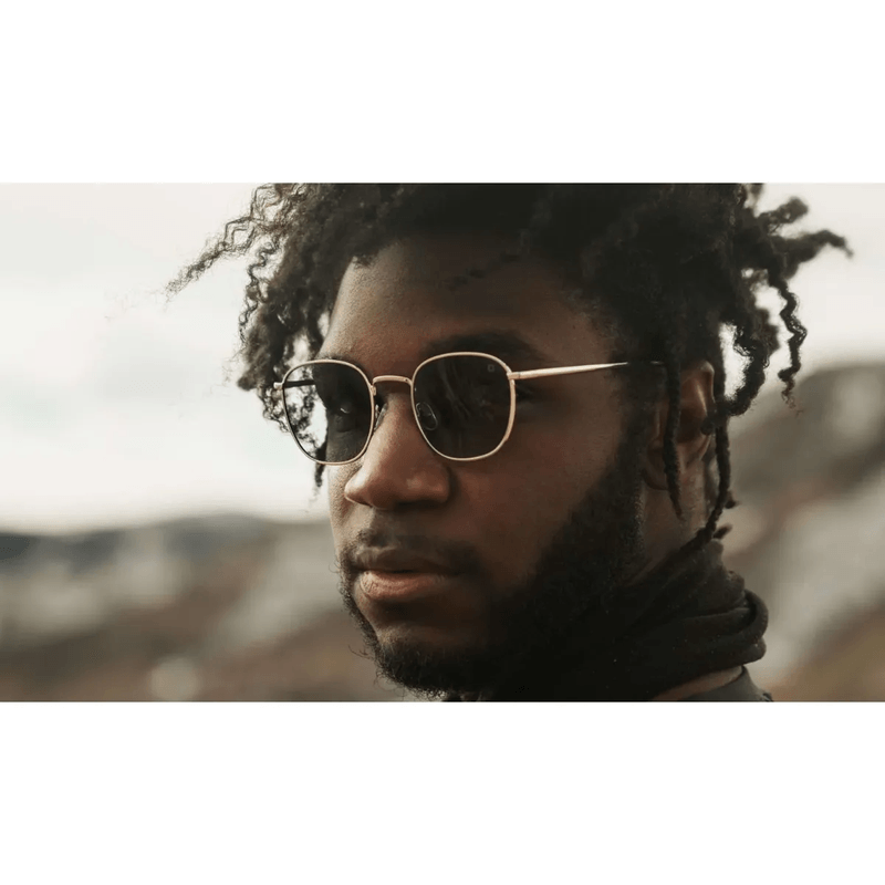 NWEB---ONE-SUNGLASS-TOWNSEND-Shiny-Gold---Smoke-Polarized.jpg