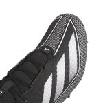 NWEB---ADIDAS-M-CLEAT-ADIZERO-ELECTRIC.1-Core-Black---White---Core-Black-8-Regular.jpg