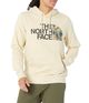 The-North-Face-Half-Dome-Pullover-Hoodie---Men-s-Gravel-/-Multi-Color-L.jpg